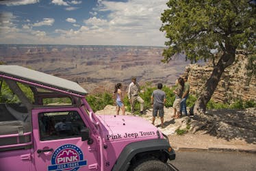 The Grand Canyon desert view tour